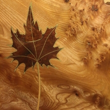 Maple leaf table with shelf - inlaid leaf