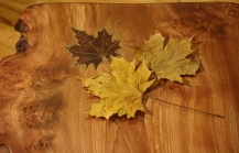 Maple leaf table with shelf- leaves